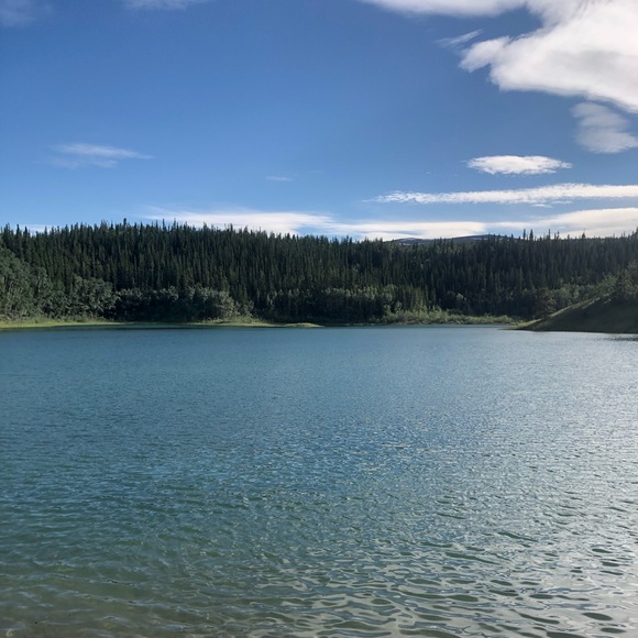 Meet your Posher, Ziela - Picture 1 of 1